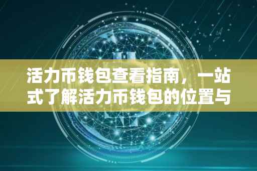 活力币钱包查看指南，一站式了解活力币钱包的位置与功能