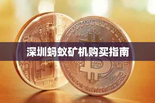 深圳蚂蚁矿机购买指南
