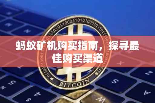 蚂蚁矿机购买指南，探寻最佳购买渠道