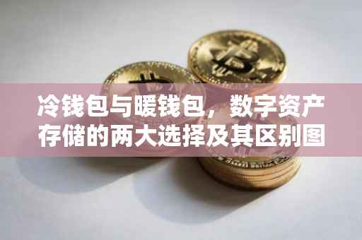 冷钱包与暖钱包，数字资产存储的两大选择及其区别图片解析