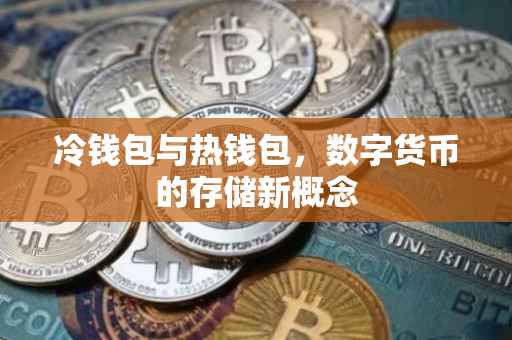 冷钱包与热钱包，数字货币的存储新概念