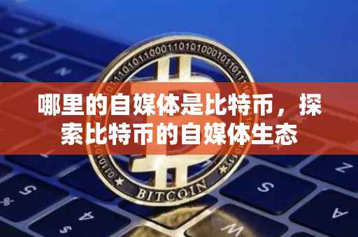 哪里的自媒体是比特币，探索比特币的自媒体生态