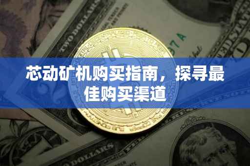 芯动矿机购买指南，探寻最佳购买渠道