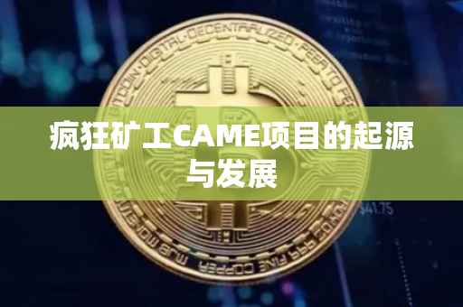 疯狂矿工CAME项目的起源与发展