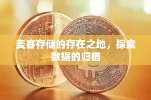 麦客存储的存在之地，探索数据的归宿