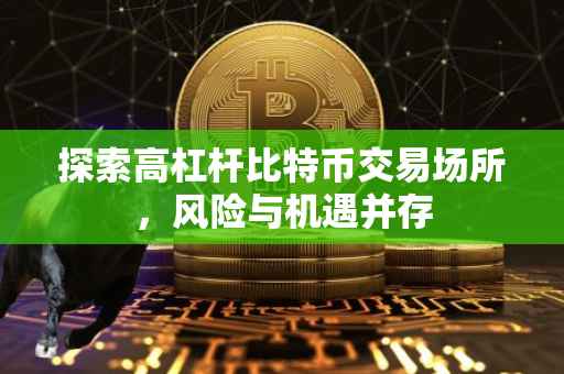 探索高杠杆比特币交易场所，风险与机遇并存