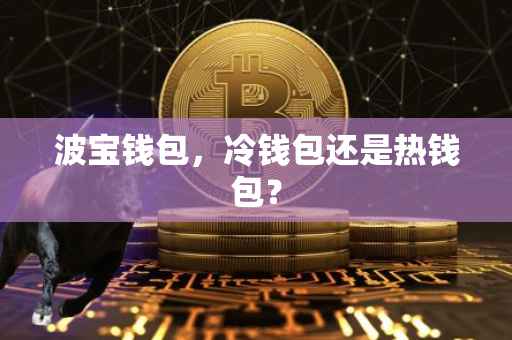 波宝钱包，冷钱包还是热钱包？