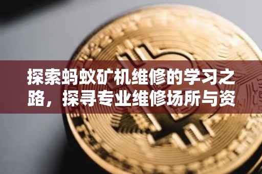 探索蚂蚁矿机维修的学习之路，探寻专业维修场所与资源