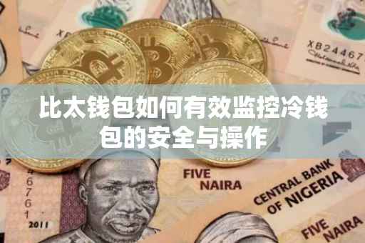 比太钱包如何有效监控冷钱包的安全与操作