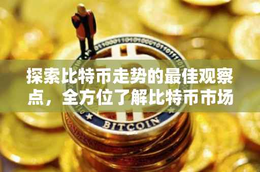 探索比特币走势的最佳观察点，全方位了解比特币市场动态