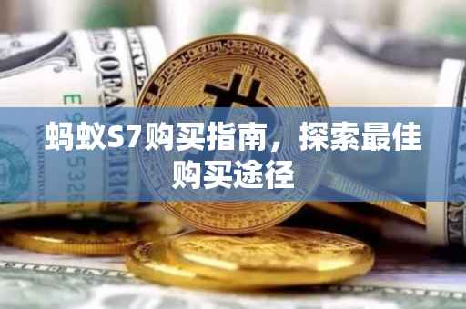 蚂蚁S7购买指南，探索最佳购买途径