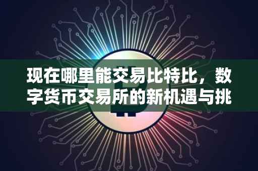 现在哪里能交易比特比，数字货币交易所的新机遇与挑战
