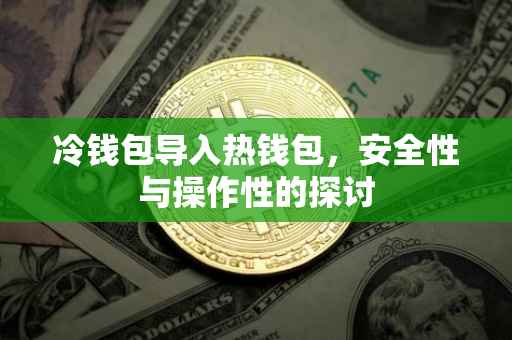 冷钱包导入热钱包，安全性与操作性的探讨