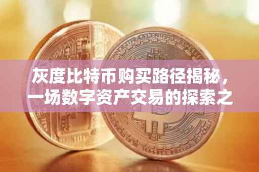 灰度比特币购买路径揭秘，一场数字资产交易的探索之旅