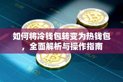 如何将冷钱包转变为热钱包，全面解析与操作指南
