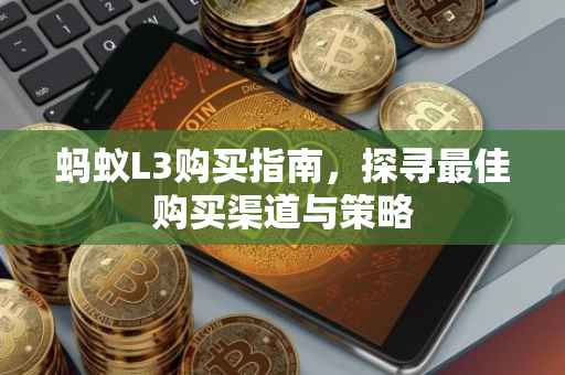 蚂蚁L3购买指南，探寻最佳购买渠道与策略