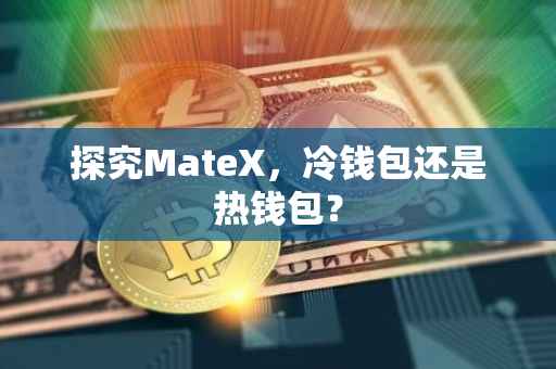 探究MateX，冷钱包还是热钱包？