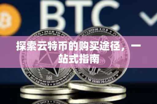 探索云特币的购买途径，一站式指南
