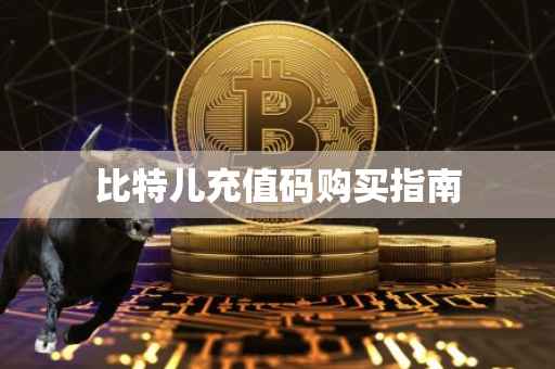 比特儿充值码购买指南