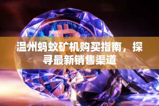 温州蚂蚁矿机购买指南，探寻最新销售渠道