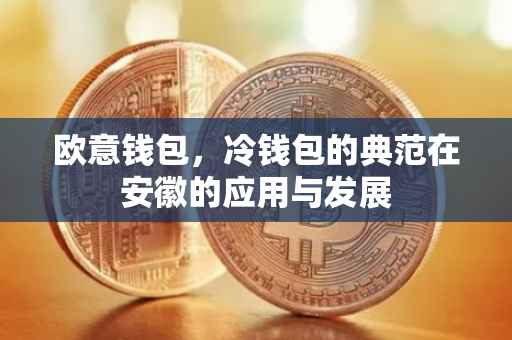 欧意钱包，冷钱包的典范在安徽的应用与发展