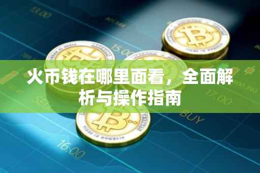 火币钱在哪里面看，全面解析与操作指南