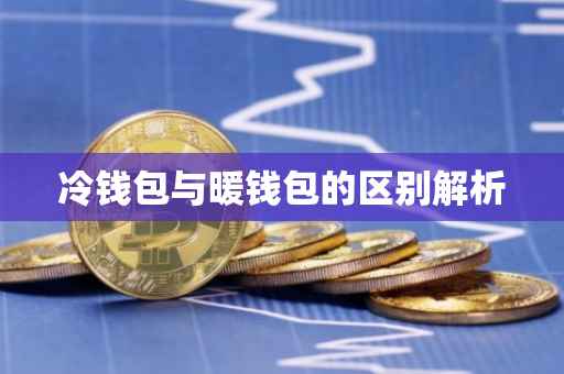 冷钱包与暖钱包的区别解析