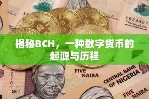 揭秘BCH，一种数字货币的起源与历程