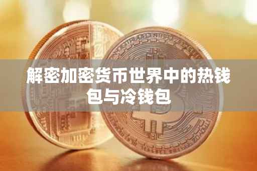 解密加密货币世界中的热钱包与冷钱包