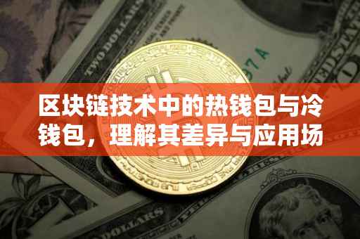 区块链技术中的热钱包与冷钱包，理解其差异与应用场景
