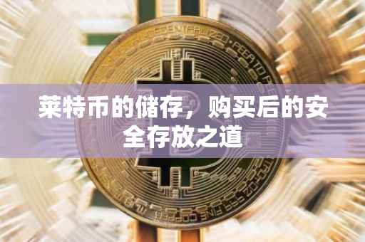 莱特币的储存，购买后的安全存放之道
