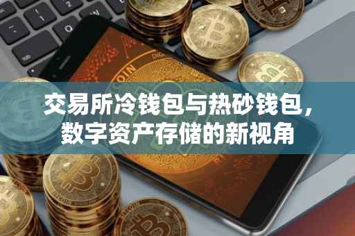 交易所冷钱包与热砂钱包，数字资产存储的新视角