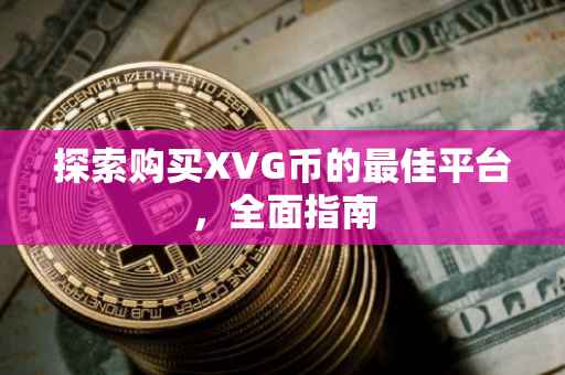 探索购买XVG币的最佳平台，全面指南