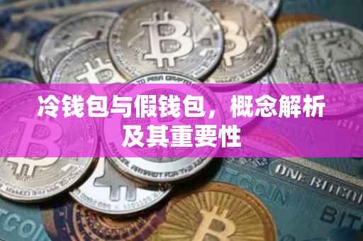 冷钱包与假钱包，概念解析及其重要性