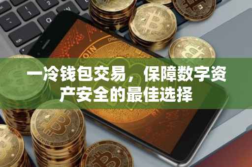 一冷钱包交易，保障数字资产安全的最佳选择