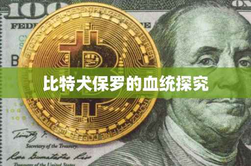 比特犬保罗的血统探究