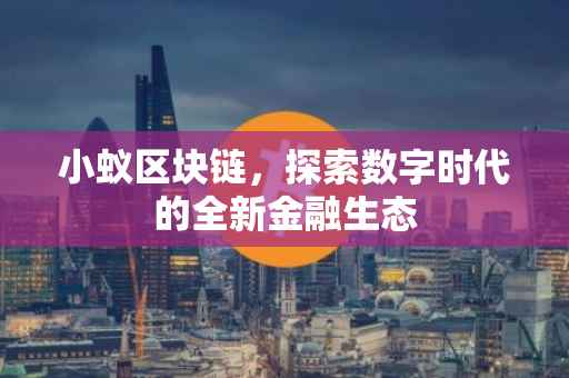 小蚁区块链，探索数字时代的全新金融生态