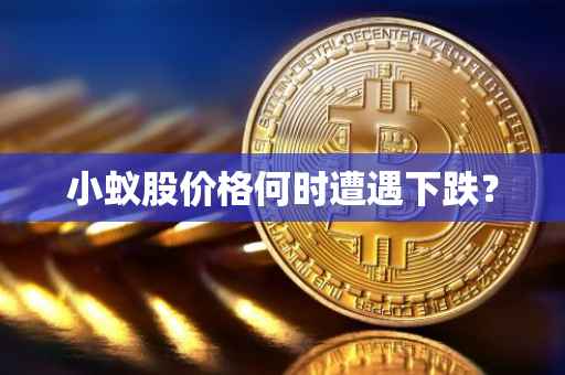 小蚁股价格何时遭遇下跌？