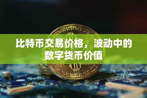 比特币交易价格，波动中的数字货币价值