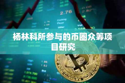 杨林科所参与的币圈众筹项目研究