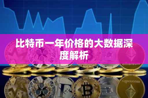 比特币一年价格的大数据深度解析