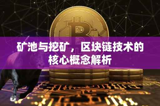 矿池与挖矿，区块链技术的核心概念解析