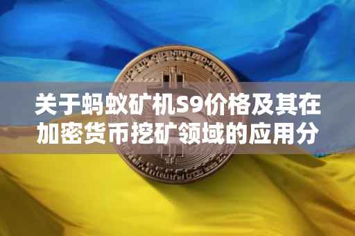 关于蚂蚁矿机S9价格及其在加密货币挖矿领域的应用分析（2021年）