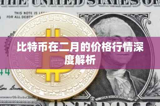 比特币在二月的价格行情深度解析