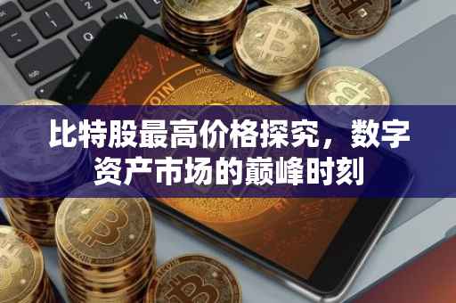 比特股最高价格探究，数字资产市场的巅峰时刻
