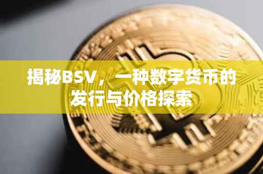 揭秘BSV，一种数字货币的发行与价格探索
