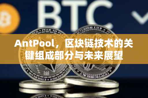 AntPool，区块链技术的关键组成部分与未来展望