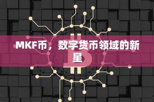 MKF币，数字货币领域的新星