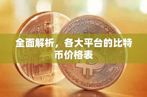全面解析，各大平台的比特币价格表
