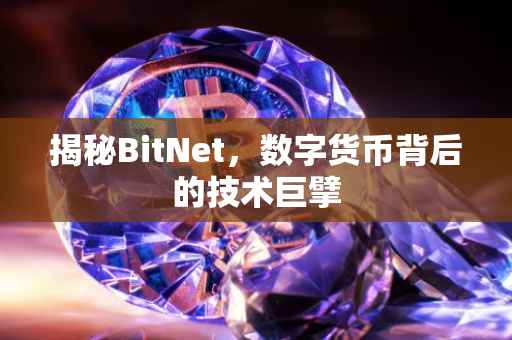 揭秘BitNet，数字货币背后的技术巨擘